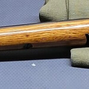Ithaca_M66_1.jpg