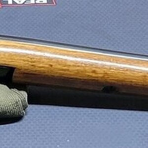 Ithaca_M66_2.jpg