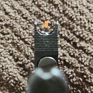 1000021731.jpg