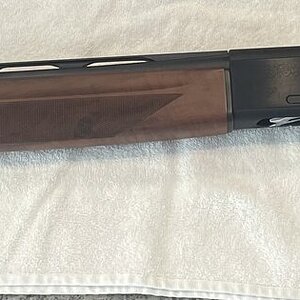 IMG_1595.jpeg