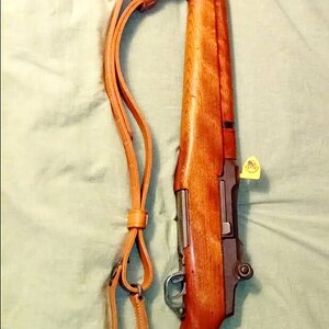 M1_left.jpg