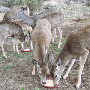 Ranch 12062025 1.JPG