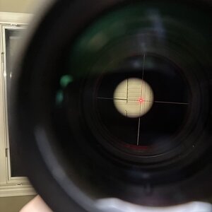 IMG_2605.jpeg