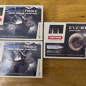 IMG_7065.jpeg
