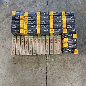 1000011152.jpg