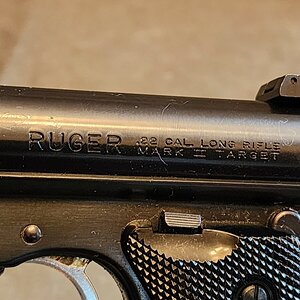 20241124_104944.jpg