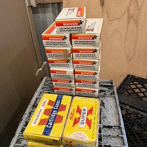IMG_1985.jpeg