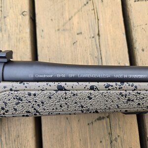 Bergara03.jpg
