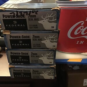 IMG_0012.jpeg