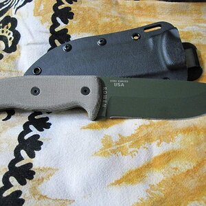 ESEE004.jpg