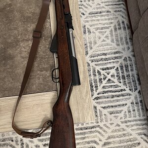 IMG_7521.jpeg