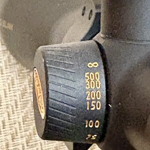 IMG_2856.jpeg