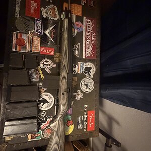 IMG_7542.jpeg