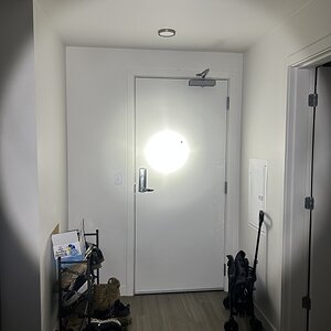 IMG_2555.jpeg
