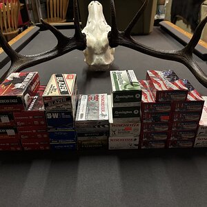 IMG_8925.jpeg