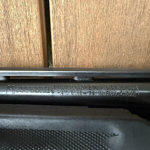 IMG_0416.jpeg