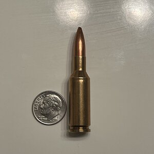 IMG_4953.jpeg