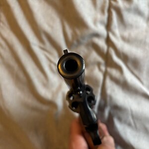 IMG_9027.jpeg