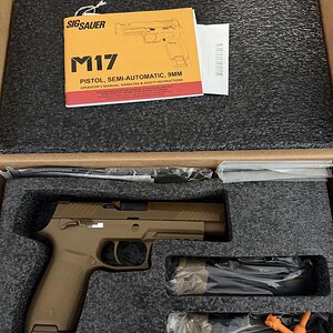 sig.jpg