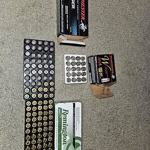 Ammo.jpg