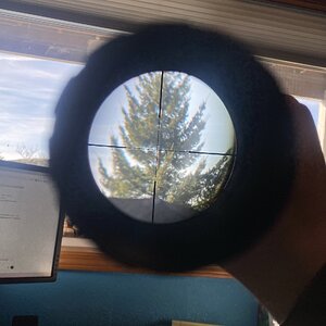 IMG_4691.jpeg