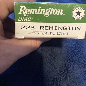 IMG_5892.jpeg
