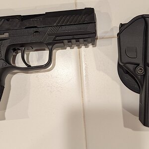 sig_holster_wilson_grip.jpg