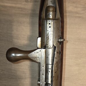 8625.jpg