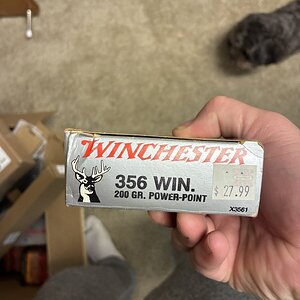 IMG_3619.jpeg