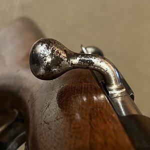 IMG_2974.jpeg