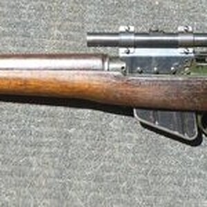 No5  2.jpg