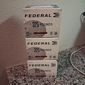 Federal 22LR.jpg