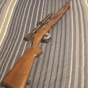 Rifle 2.jpg
