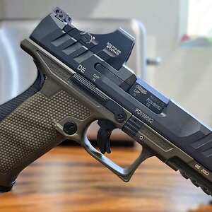 Walther1.jpg