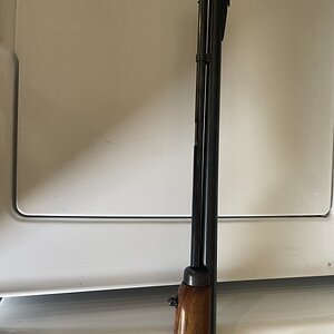 IMG_7977.jpeg