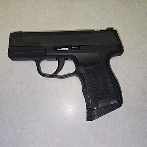 Sig 365.jpg
