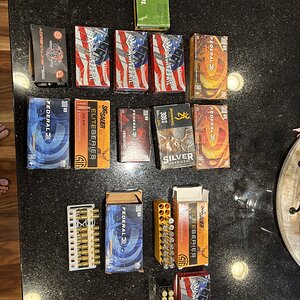 IMG_9979.jpeg