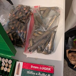 2774.jpg