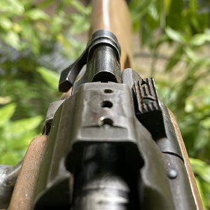 IMG_8255.jpeg