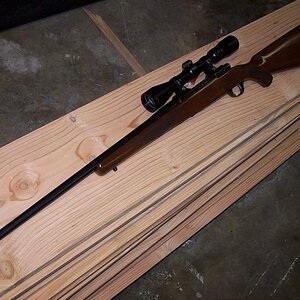 100_6139_zps1ab8e424.jpg