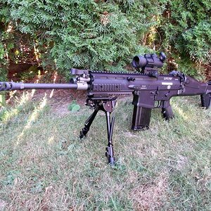 scar-1.jpg