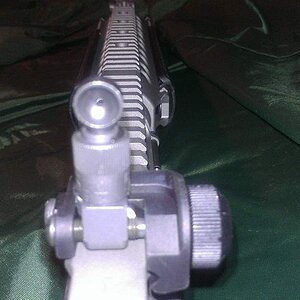 IMAG0245.jpg