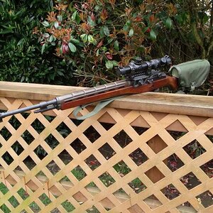 m14-4.jpg