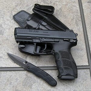 P30carry.jpg