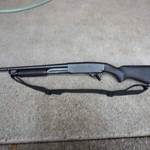 Springfield67F1.jpg