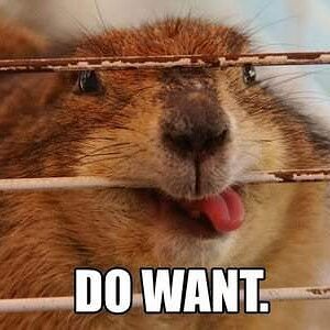 do_want..jpg