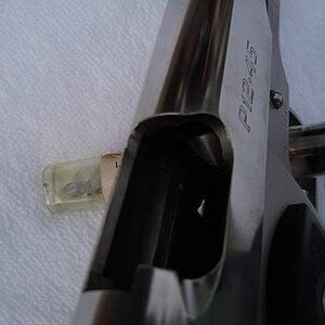 PARA7.jpg