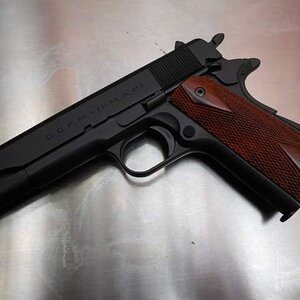 KensArgentine1911006.jpg