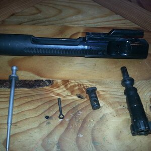 BCG disassembly.jpg