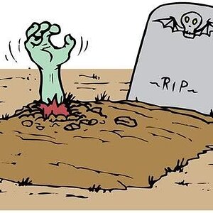 rising-from-grave002.jpg